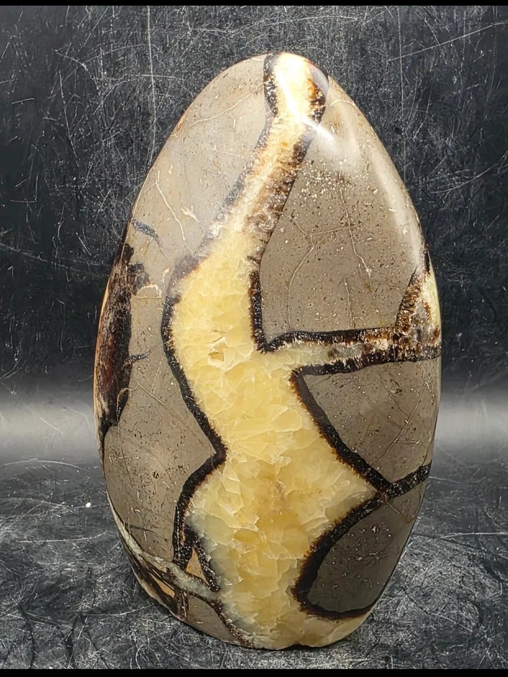 LARGE Septarian Dragon Egg Freeform Statement Piece NEW 5